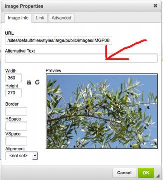 This common image dialog makes is easy to add an alt text to your image.