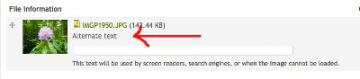 A simple form with your image upload makes it easy to add 'alt text'.