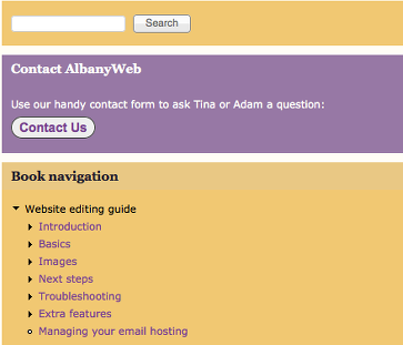 AlbanyWeb offers online support via a custom editing guide
